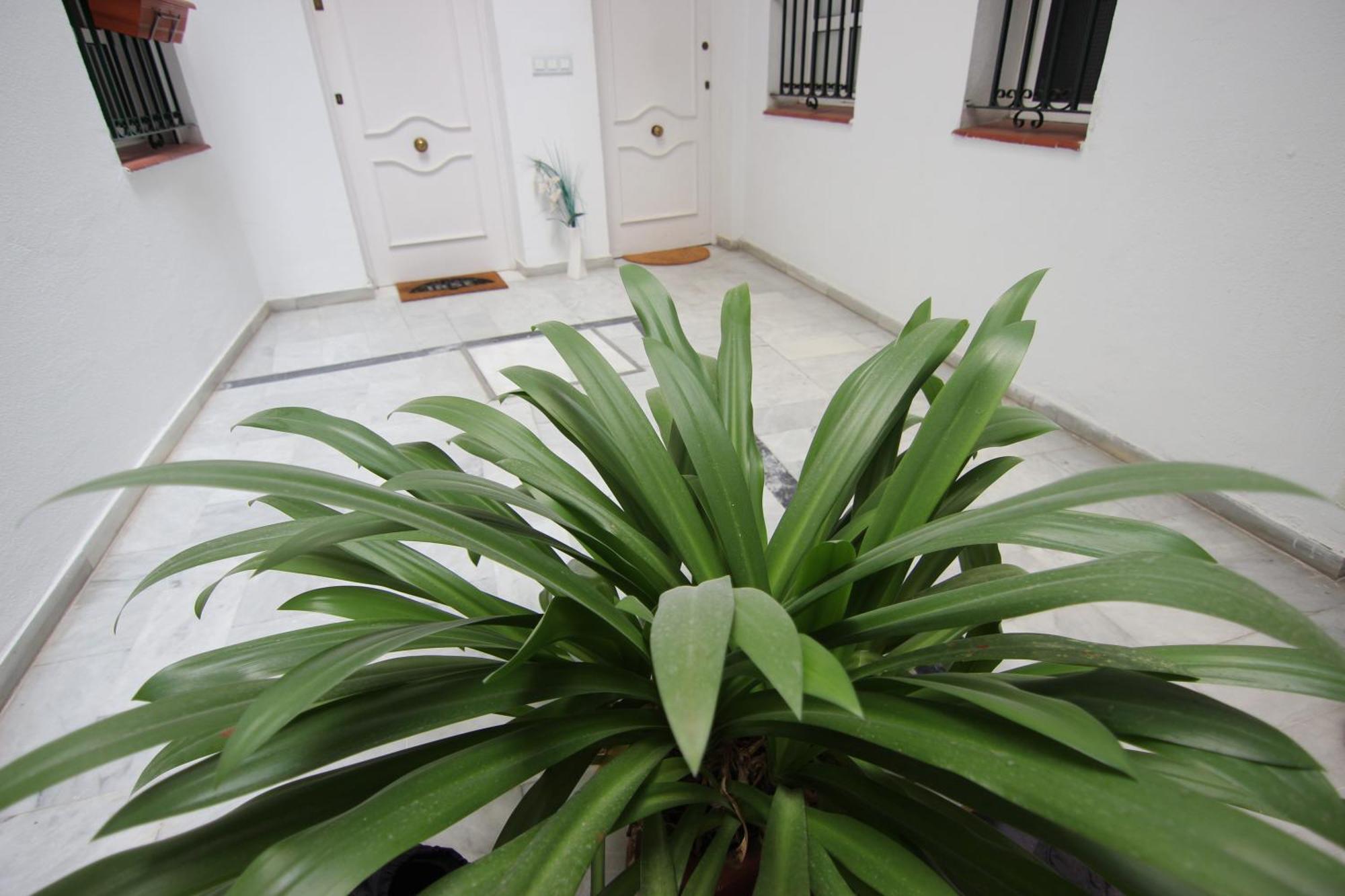 Apartamento Corazón de Triana Sevilla Exterior foto